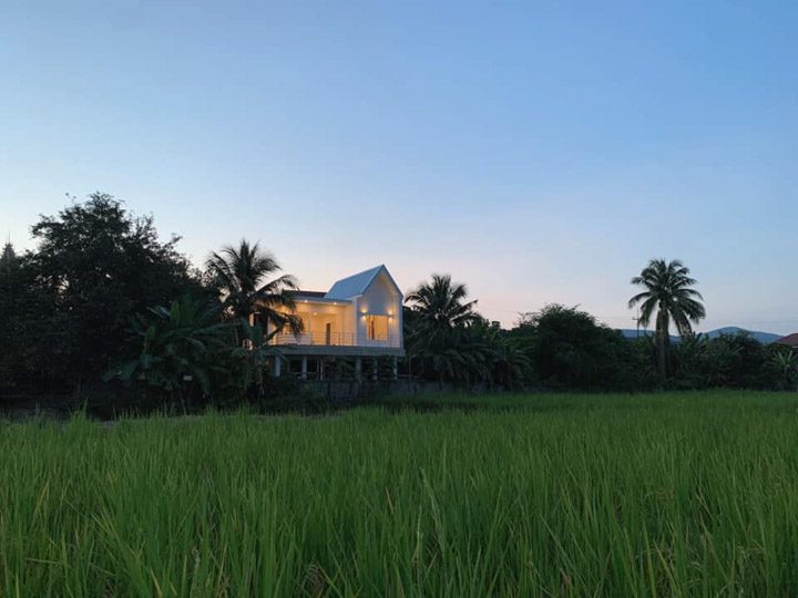 Ngôi nhà ấm cúng nằm trên cánh đồng lúa xanh 